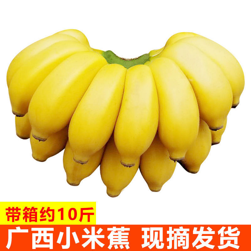 5kg Free Shipping Yunnan Banana, Sihanoukville Banana, Small Banana, Banana Tropical Fruit 5kg Wholesale Fresh Sweet Alpine Sweet