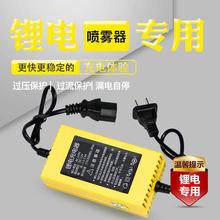 厂家批发12V2A电动喷雾器打药机园林工具农业机械锂电池充电器