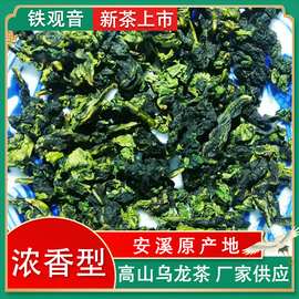2025新茶福建高山乌龙茶铁观音安溪真空散装批发零售高山茶源地