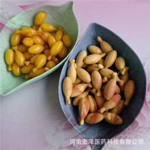 印加果油凝胶糖果 葫芦籽油 维生素DHA乳钙咀嚼软胶囊 代加工