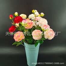 3�^ĵ�����滨 ����õ���c�bٻ���õ����滨��ĵ��A