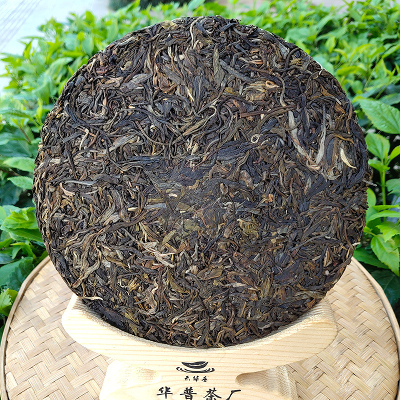 雲南普洱茶原頭廠家直銷景邁山頭春古樹純料緊壓357g普洱茶生茶餅