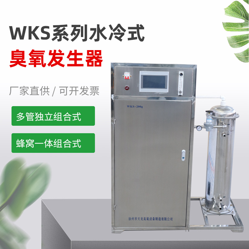 WKS触屏式臭氧消毒机洁净区消毒臭氧发生器杀菌空气净化臭氧设备