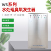 定制WS系列水处理臭氧发生器食品厂等行业各行业污水处理臭氧设备