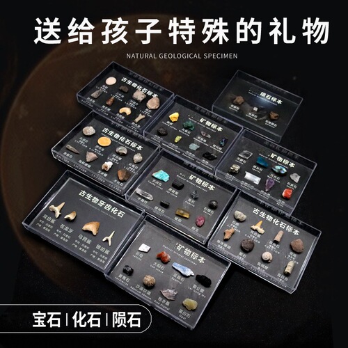 Fossils ores, meteorites, teeth, plants, wolf-finned fish, insects, paleontological fossils, popular science teaching specimen collection ornaments