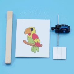 DIY Cage Bird Science Experiment Children's Handmade Self-Invented Technology Small Craft Material SETM Educational Toy