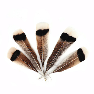 �S�����l�黨���u��Ƭ20-25cm�l���ë����o�ϻҰ�ɫ�y·��ë�P