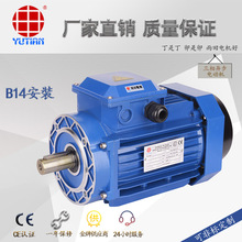 0.25KW��ˮ��������YE37114��ͨ���ǵ������B14�����첽�綯��