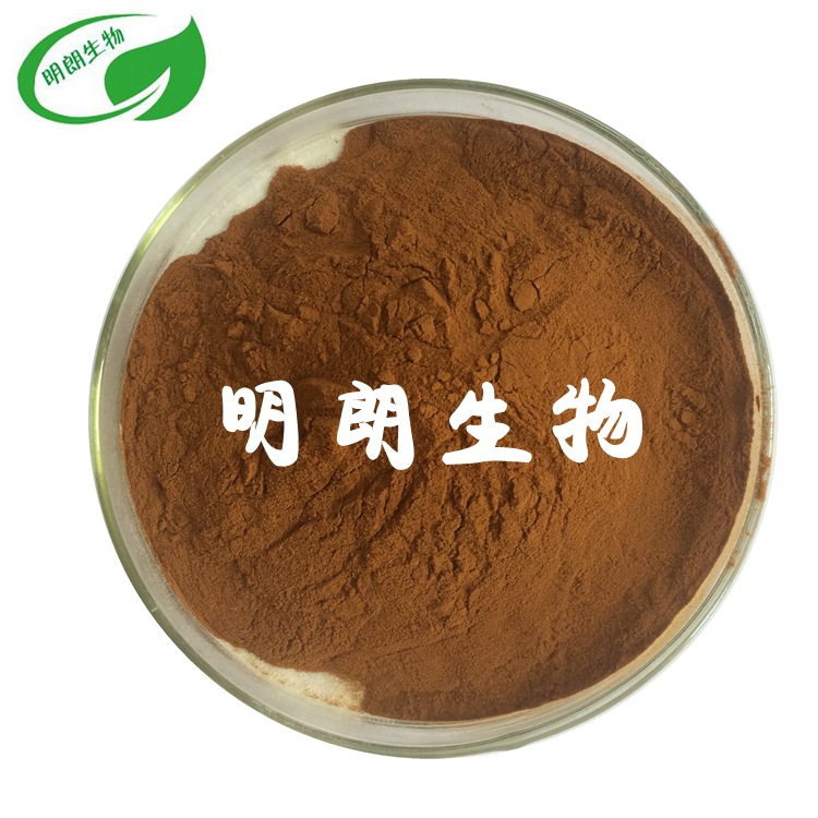 牛蒡子提取物10:1牛蒡子萃取原料水溶食品级牛蒡子粉99% 厂家包邮