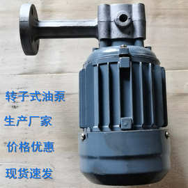 厂家批发ZCB转子式油泵 立式摆线针轮减速机润滑泵冷却齿轮泵设备