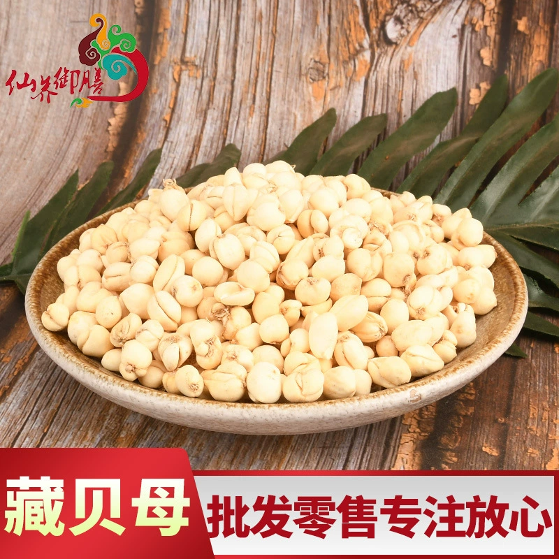 Различные характеристики тибетской фризии