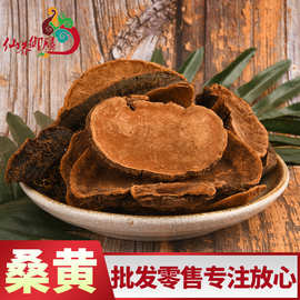 桑黄 东北长白山 桑树桑黄深山采摘质量保障桑黄
