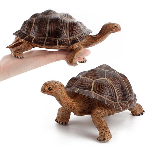 Solid simulation land turtle model, resembling tortoise, grass turtle, cross-border best-selling static turtle toy, decorative item, wholesale