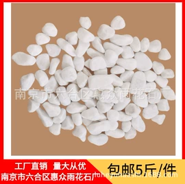 沙石砾石;造景/装饰;家居棉鞋