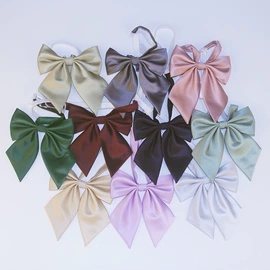 领结/领花;领带;口袋巾