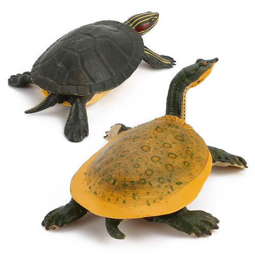 Foreign trade supply simulation freshwater turtle model softshell turtle Brazilian turtle static solid pet turtle king tortoise terrapin ornament