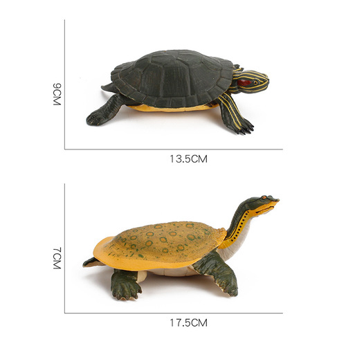 Foreign trade supply simulation freshwater turtle model softshell turtle Brazilian turtle static solid pet turtle king tortoise terrapin ornament