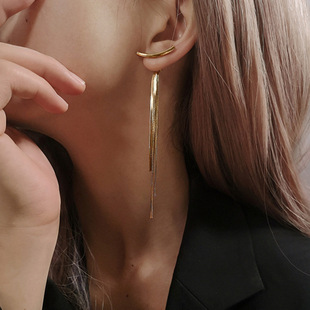 S925 European and American Tassel Earrings Women's Simple Internet Celebrity All-match Slimming Cold Style Metal Snake Bone Long Earrings Earrings