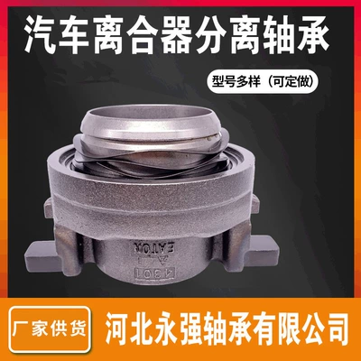 H7 Tianlong Tyrannosaurus Eaton – Bearing
