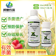 r120_6%ऺ߲˷߲Arș