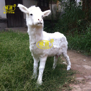 ��Դ �������� �zӰ�����b� ���̈́��� ������wy235