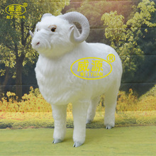 Դ ̈́zӰģͷˇƷdWY352