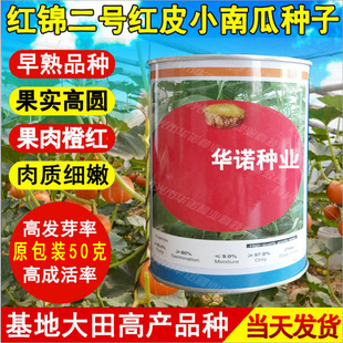 �t�\��̖�t�ϹϷN���ļ��N ������������t�A�ϹϷN���߲˷N��