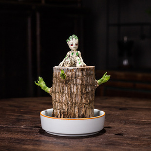 ����ľ���û������\ľ���F����̦�\��ˮ���մɹ�ˮ�����Ї��L����