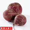 Vegetable Seeds Four Seasons Red Beef Deloma Seed Beet Root Deed Head Seed Seed Seeds Squeezed Raw Rape Seed