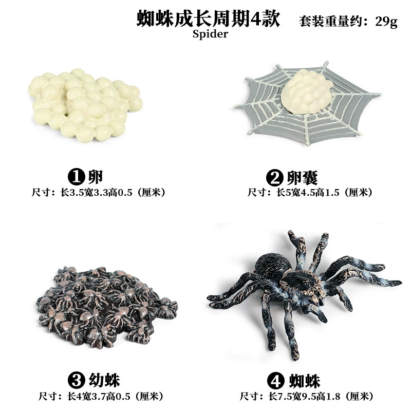 Cognitive realistic marine animal model, dinosaur, toy