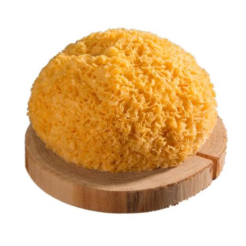 Dried Edible Fungus Chou'er - Gutian Silver Ear Mushroom 500g Silver Ear Soup Tremella Fungus Jelly Soft and glutinous Chou'er - Fujian Manufacturer