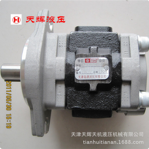 德州德隆专用高压齿轮泵SGP1B36AS1H12-L034C 天津岛津泵