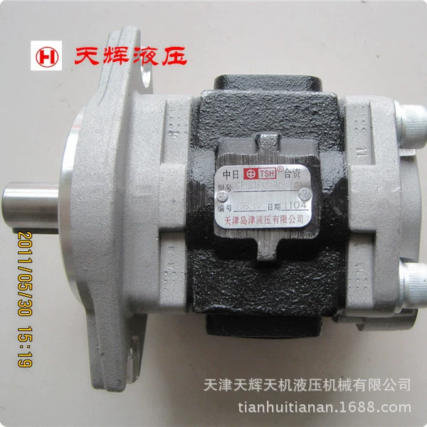 Специальный шестеренный насос высокого давления Texas Delon SGP1B36AS1H12-L034C Насос Tianjin Daozin