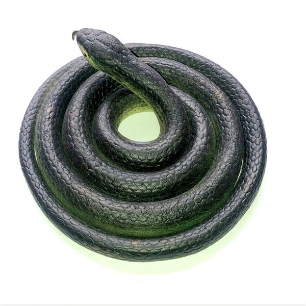 80cm Bian Yellow Black Snake