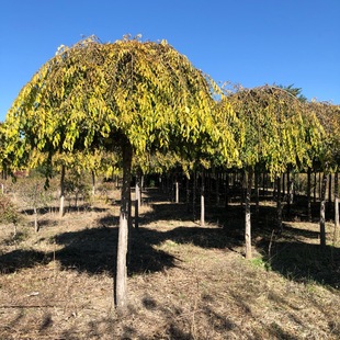 С�^���܅������ؾG���߼޽Ӵ������A�����е�����~���~�S����