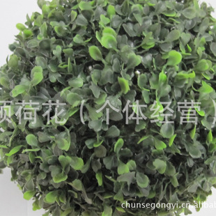 (���m��)��̖���Ӳ��� ����Gֲ����������΢���^ �����쾰���l