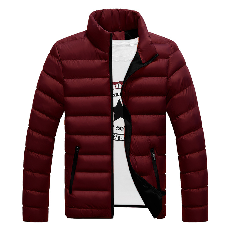 Men's Down Jacket Stand-up Collar Solid Colour Zip Cardigan_voghion.com