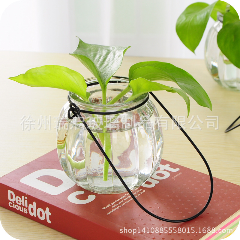 现货供应水培植物花瓶 小吊瓶插花玻璃瓶配送铁环南瓜玻璃花瓶