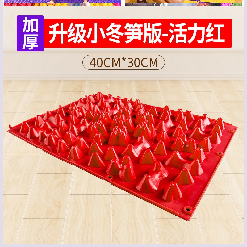 겨울 죽순은 압력판 30 * 40cm 를 나타냅니다.