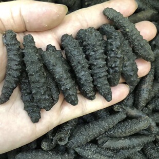 ���ȻҰ���������y���ڴ̅��ݼy���������ɸ��J�Ұ��