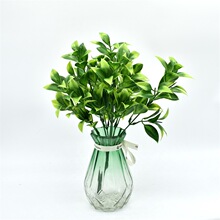 �羳��������~�ٻ����l�������컨�����滨�b��÷���Gֲ����