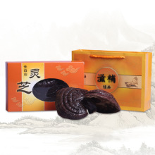 �|���L��ɽ�`֥���� �|���`֥Ƭ���l��ɽ���`֥�Y�� ���`֥