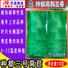 种都高科三号五号莴苣莴笋种子秋冬耐热耐寒莴笋籽蔬菜种子高产菜