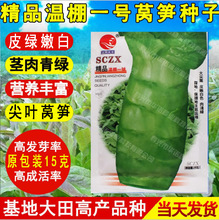 �����߲˷N�� ����һ̖�n�ķN�� ����~�n�S�N���ﶬ�ͺ����n�S��