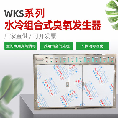 WKS水冷组合式臭氧发生器  废气处理空气净化器一体式臭氧机|ms