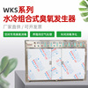 WKS水冷组合式臭氧发生器  废气处理空气净化器一体式臭氧机|ms