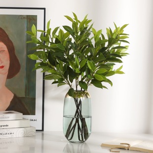 3����ؔ�~������~�����~ �����֦�Gɫ�~�ӼҾӿ͏d�廨�b����