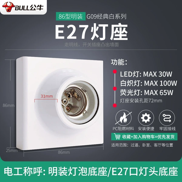 Mounted lamp holder, with screw socket