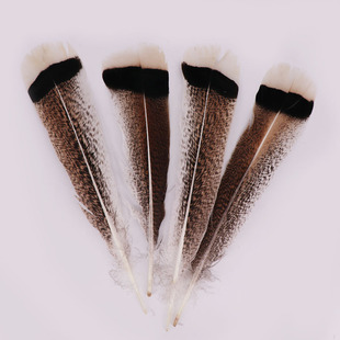 �S�����l�黨���u��Ƭ30-35cm�l���ë����o�ϻҰ�ɫ�y·��ë�P