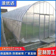 厂家批发农业温室大棚大棚骨架西红柿番茄大棚塑料薄膜遮阳棚出口